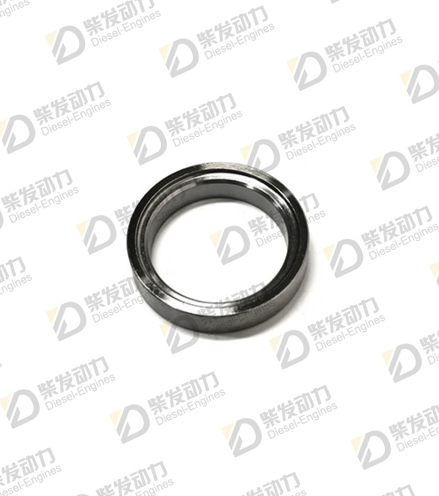 Valve seat 466266 